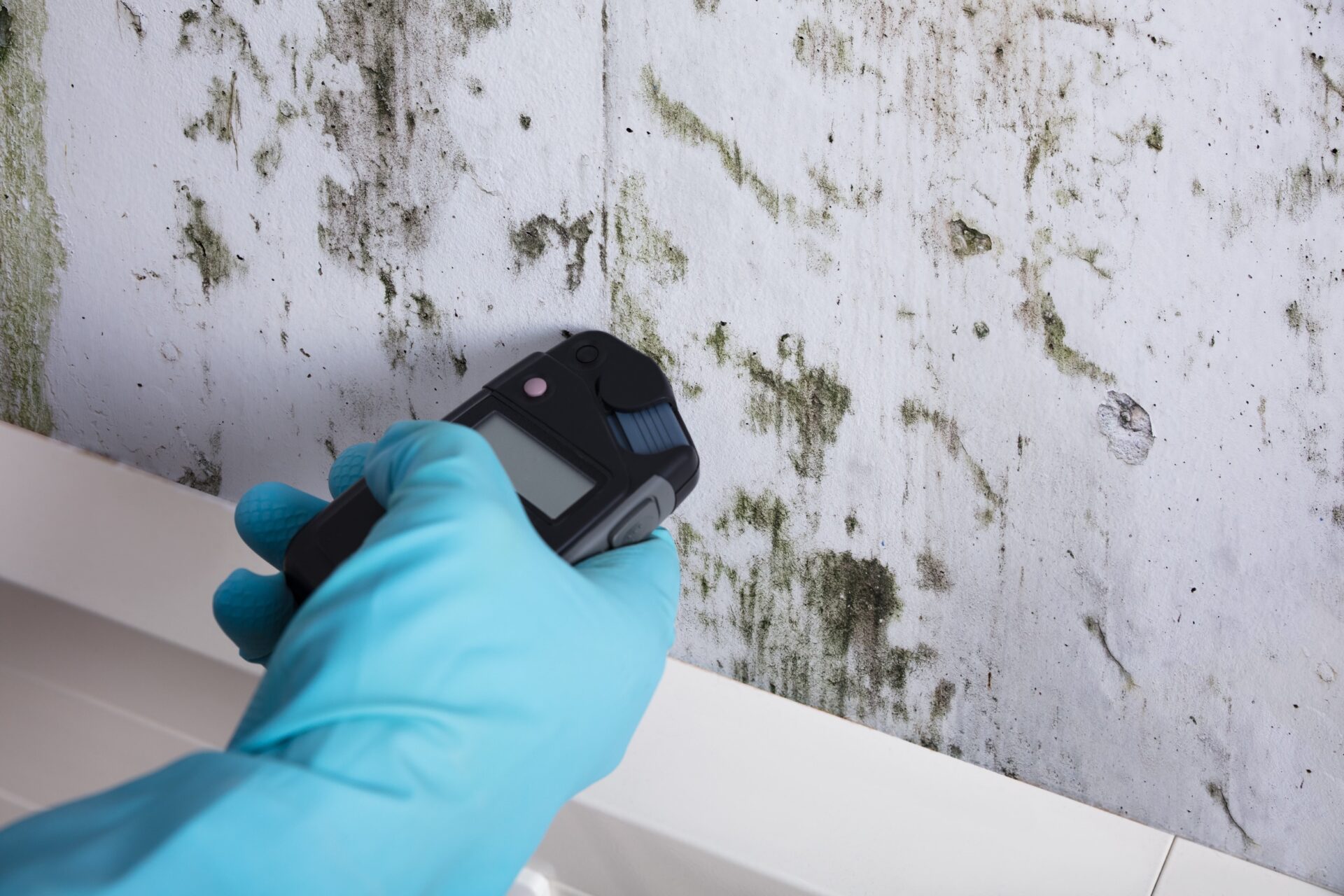 Close-up Of Person Hand Wearing Gloves Measuring Wetness Of A Moldy Wall